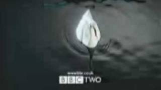 Bbc 2 Swan Ident