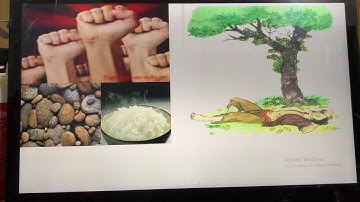 CD9. Bài 14: Quyền và nghĩa vụ lao động của công dân