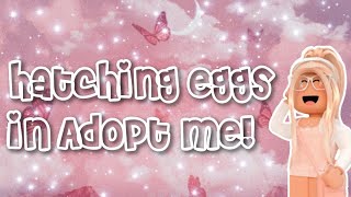 hatching eggs in adopt me❤️