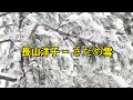 長山洋子 1 / さだめ雪 (나가야마 요오코 / 사다메유키)