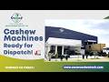 India’s High-Tech Cashew Machines Dispatch | Oscar Cashew Tech