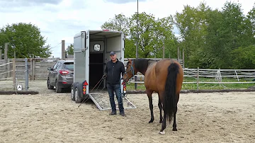 Comment faire monter un cheval qui a peur dans un van ?