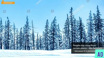 Dust Of Snow By Robert Frost - (First Flight - X) With Literary Devices