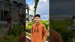 #alwiassegaf #youtubeshorts #shortvideo #trending #viral #foryou #capcut #shorts #short #fyp #fypシ