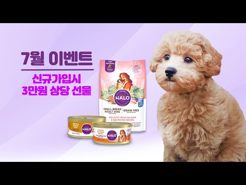 유투비 Dogtv Korea 채널개요