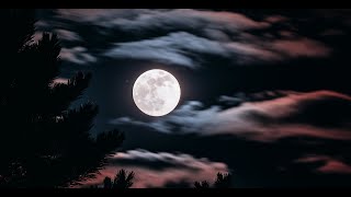 Echoes of the Night by Joss Collen