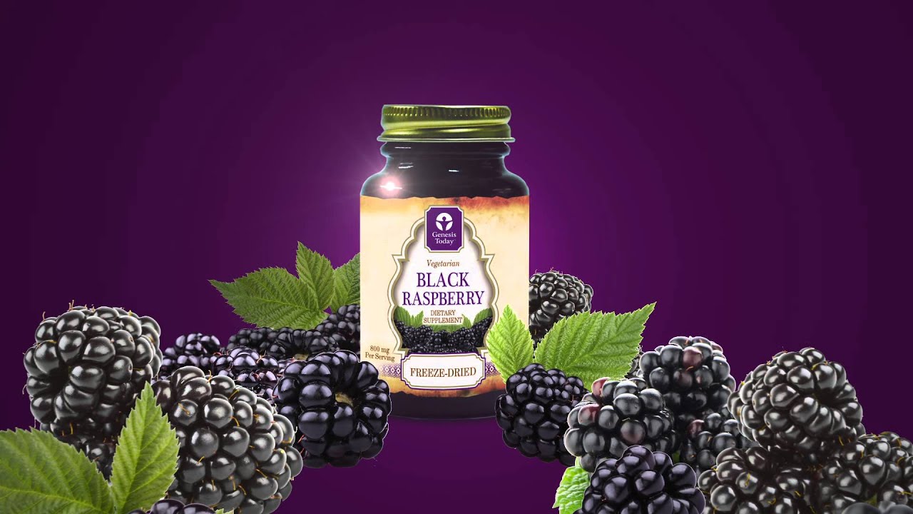 Genesis Today's Black Raspberry