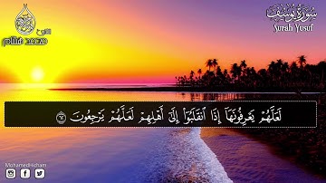 سورة يوسف كاملة بدون اعلانات | للقارئ محمد هشام
