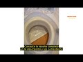 Reseña del MSV MS497 - Suplemento para WC, Polietileno, Color Blanco