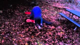 Epic retard fights