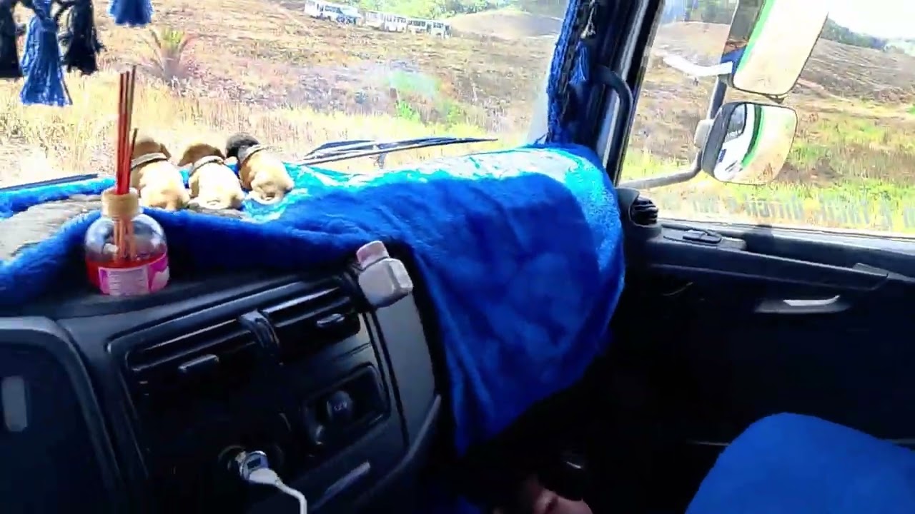 CANAL CICERO PRANCHETA DIRETO DÁ USINA SANTA MARIA PORTO CALVO AL 25 02 26 👏