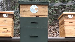 BEEHIVE ENTRANCE DISC/GATE-How to install