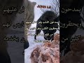 كلمات لها معنى