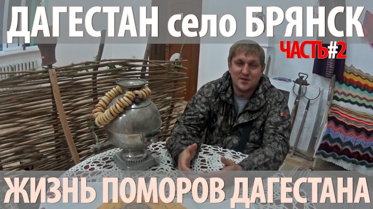 Ооо нива кизлярский район