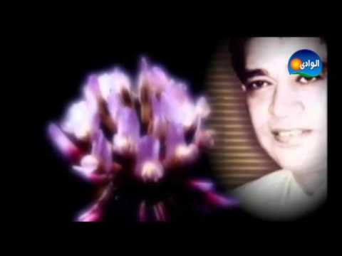 محرم فؤاد والنبى لنكيد العزال