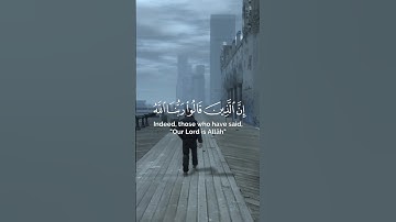 سورة فصلت | القارئ ناصر القطامي