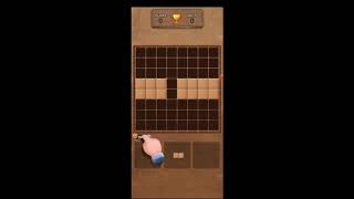 Wood Block Puzzle Tutorial screenshot 4