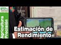 Estudio de conteo de 📟 poblaciones y ESTIMACIÓN de 📈 RENDIMIENTO con DRONES