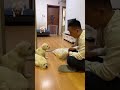 Man scolds puppies and finally mother comes for their rescue