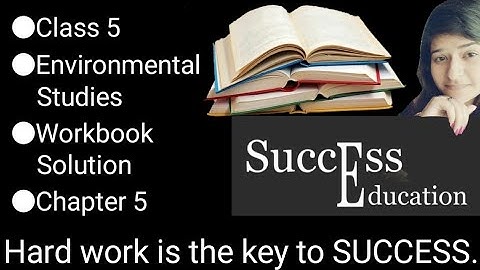 Class 5 | Environmental Studies |NCERT | Workbook Solution | Chapter 5 | Seed, Seed, Seed #seed #5th