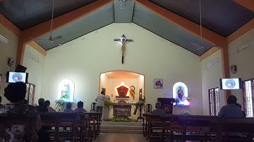 Thu Hai tuần XIX TN