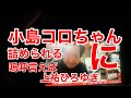小島ひろゆきさん❤️は嘘付きです❤️狼中年小島ひろゆき❤️湘南爆笑族🤣北野大地の操り人形小島ひろゆき狼中年生活保護不正受給者を許さない❤️