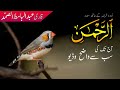 Surah Ar Rahman Urdu Translation + Visualization,  Abdul Basit As Samad #abdulbasit #surahrahman