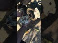 Wheel Spacers