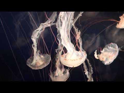 Gravity - narumi