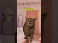 vai flopar 😭|| #naoflopa #gatos #capcut #shorts #memes #viralshorts #vaipraforyou