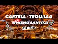 CARTELL X PACHANGA X TEQUILLA - Mix Whisnu Santika, Roni Joni, Adnan Veron (MIX EDITION 2023)