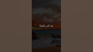الشيخ عبدالباسط عبدالصمد رحمه الله | تلاوة خاشعة من سورة الحشر