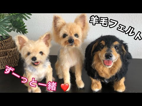 わたわたペットwatawatapets - YouTube