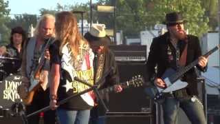 Lynyrd Skynyrd - Simple Man (6/14/13)