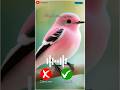 Mi 5G Phone Ringtone 2025 #music #ringtone #smartphone #ringtones #tseries20ringtone #shorts #music