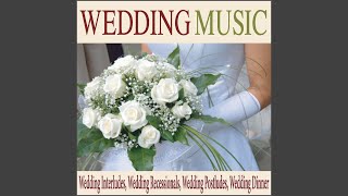 Weve Only Just Begun instrumental Version