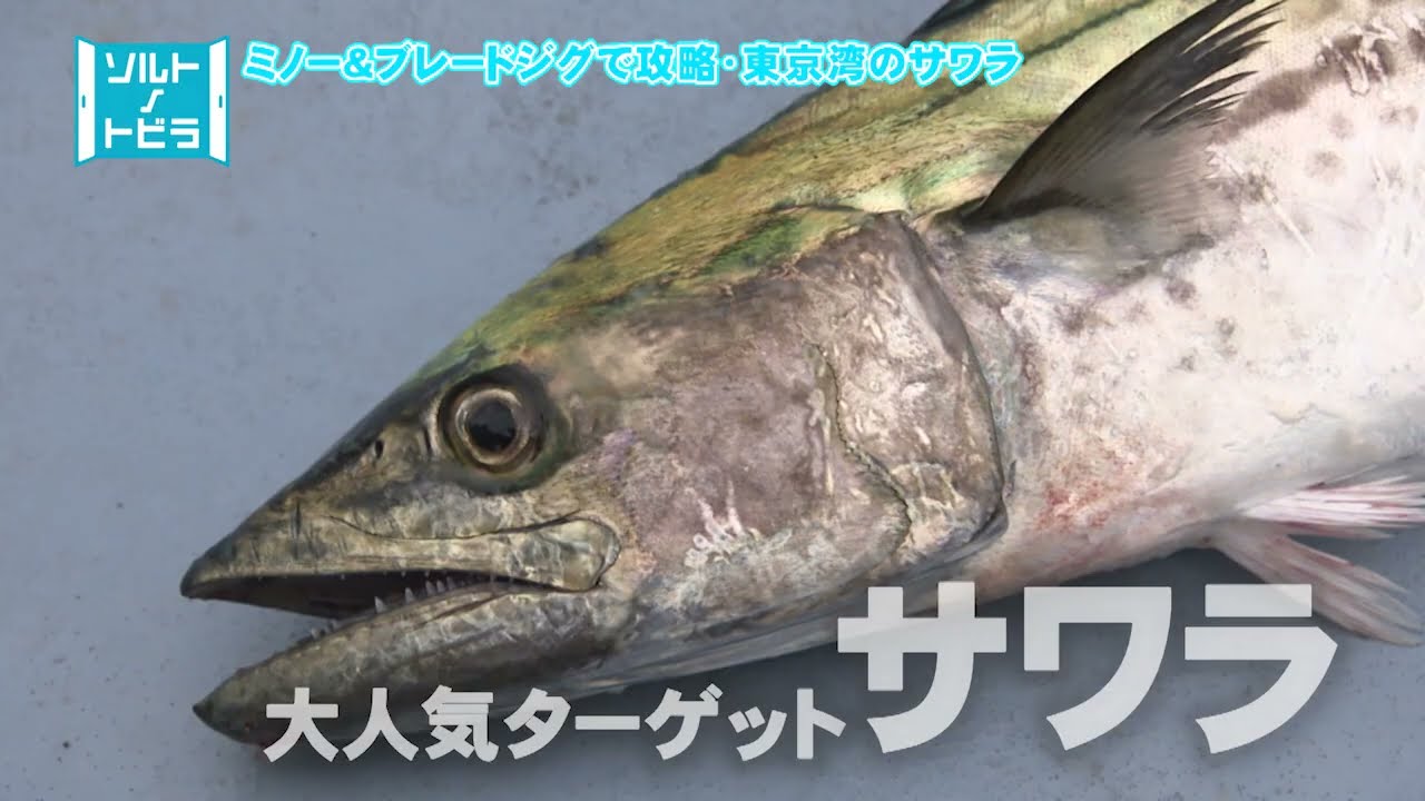 YouTube_0kd4bUC2BM8サムネイル