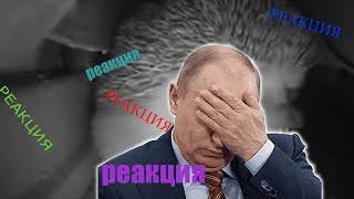 Реакция Путина на ёжика