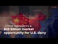 Dairy forum 2020 the power of china  idfa