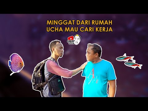 MINGGAT DARI RUMAH, UCHA MAU CARI KERJA