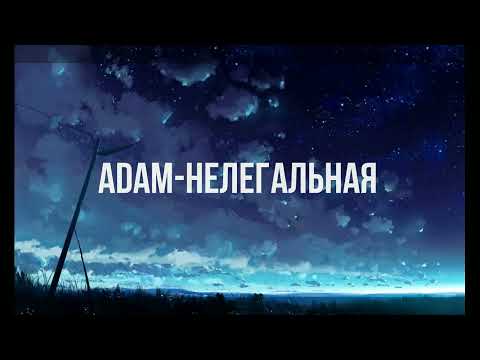 Adam - Нелегальная (текст-lyrics)