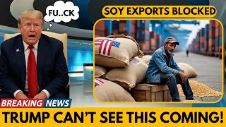 Trump PANICS As U.S. Soybeans CUT TO ZERO – U.S. Farmers BANKRUPT, Trade War BACKFIRES