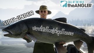 Call of the Wild: The Angler™ | ปลาเทราต์ยักษ์หนัก 50 kg [Sidewinder]