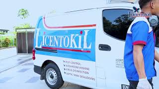 General Pest Control Services by LicentokiL by LicentokiL Malaysia Official 2,593 views 6 months ago 2 minutes, 10 seconds