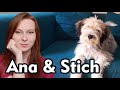 Ana and Stich | Tibetan terrier | funny dog の動画、YouTube動画。