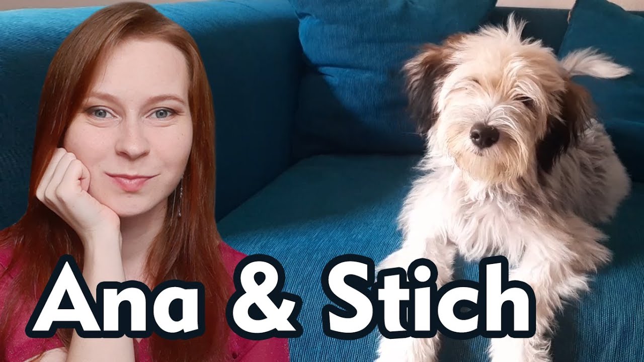 Ana and Stich | Tibetan terrier | funny dog
