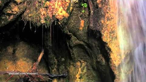 من نوادر التلاوات الحجازية للقارىء مشاري العفاسي 1