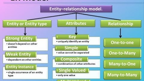 TN 12th computer application chapter-3 DBMS (part 4) ER Model