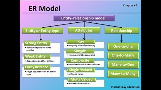 TN 12th computer application chapter-3 DBMS (part 4) ER Model