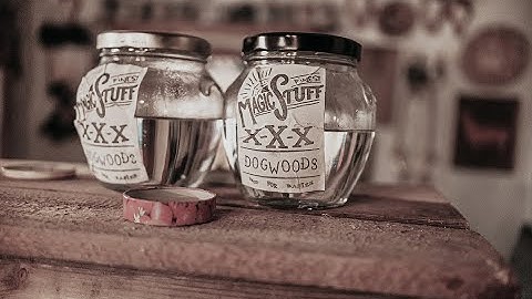 Dogwoods - Magic Stuff (Official Music Video)